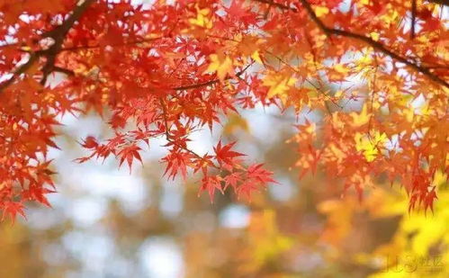 旅游 從鎮(zhèn)江坐高鐵便可抵達(dá)的8個(gè)絕美仙境 值得一去