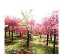 產(chǎn)品庫(kù)